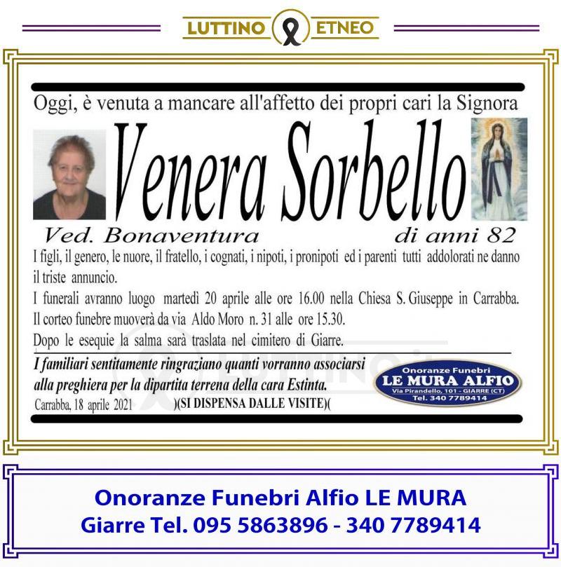 Venera  Sorbello